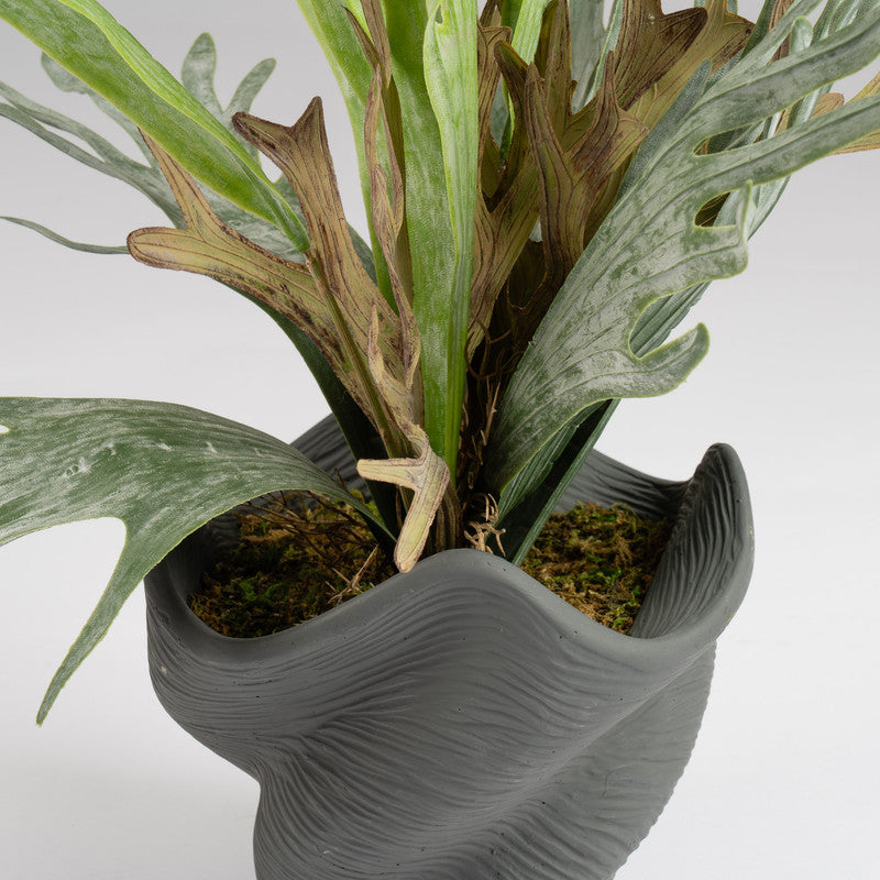 53cm Artificial Sea Greens in Cement Shell Pot